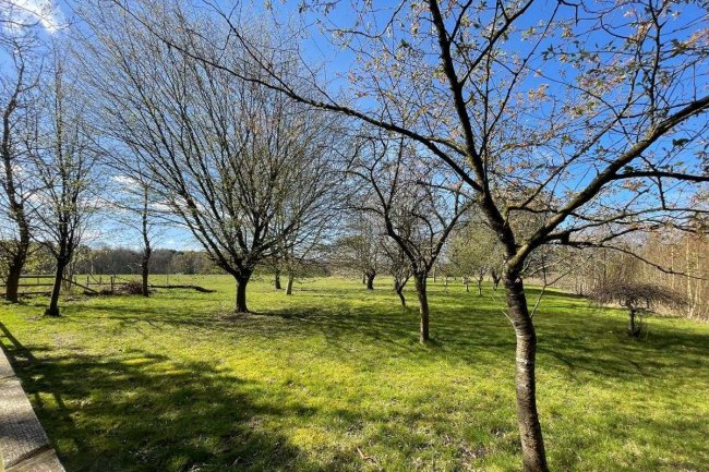 Brackenwood, Sandy Lane, Horsford, Norwich NR10 3EB 3