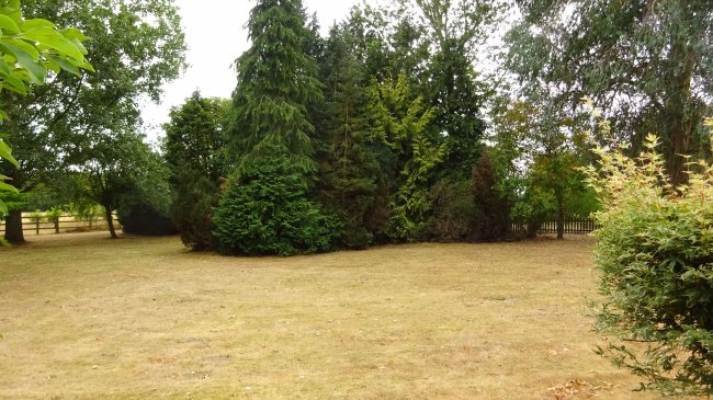 Brackenwood, Sandy Lane, Horsford, Norwich NR10 3EB 3