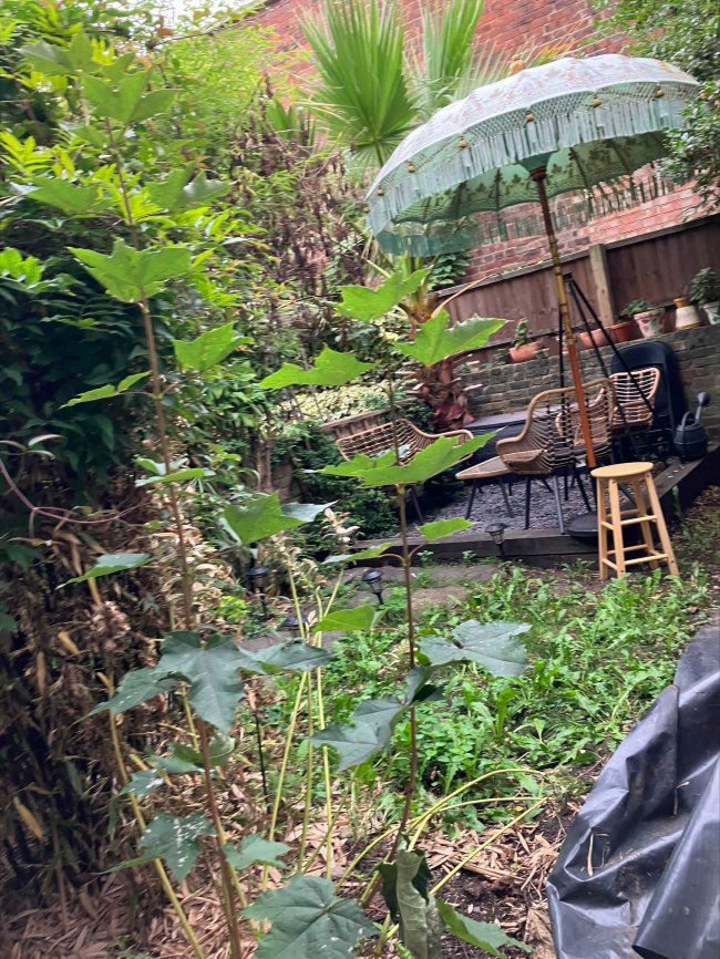 11A Offley Road, London SW9 0LR
 10