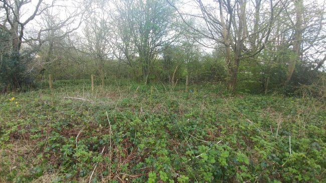 Land on the east side of Stanstead Road, Caterham, Surrey CR3 6AJ
 6