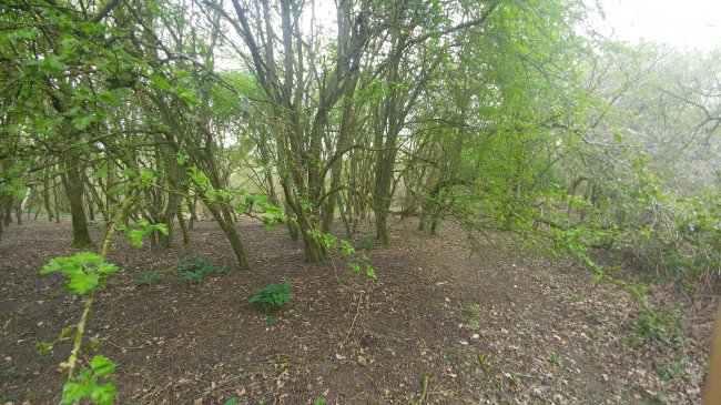 Land on the east side of Stanstead Road, Caterham, Surrey CR3 6AJ
 6