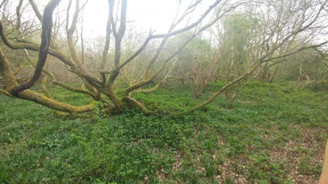 Land on the east side of Stanstead Road, Caterham, Surrey CR3 6AJ
 6