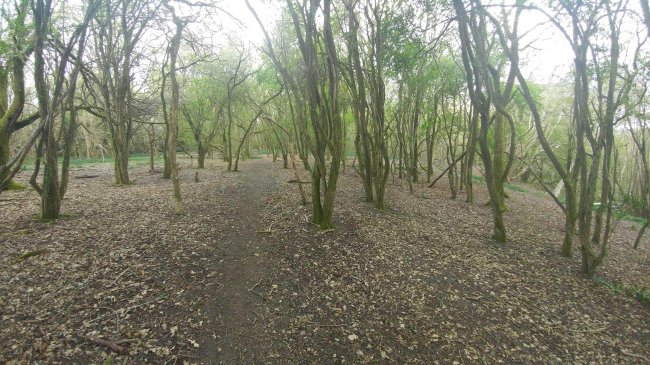 Land on the east side of Stanstead Road, Caterham, Surrey CR3 6AJ
 6