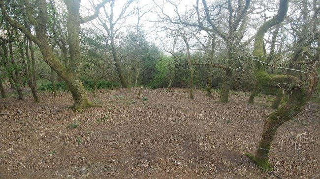 Land on the east side of Stanstead Road, Caterham, Surrey CR3 6AJ
 6