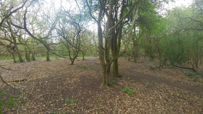 Land on the east side of Stanstead Road, Caterham, Surrey CR3 6AJ
 6