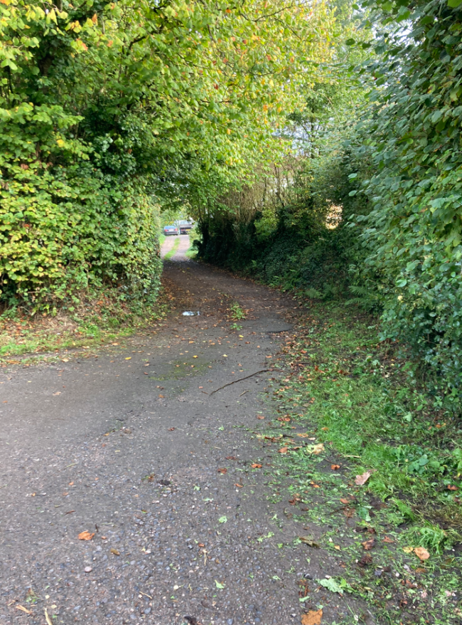 The Barn at Whites Cottages, Feniton, Honiton, Devon EX14 3DB 2