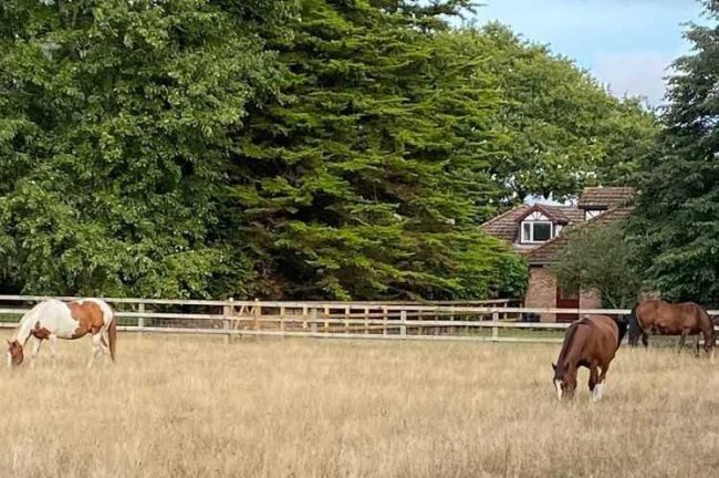 Brackenwood, Sandy Lane, Horsford, Norwich NR10 3FB 8