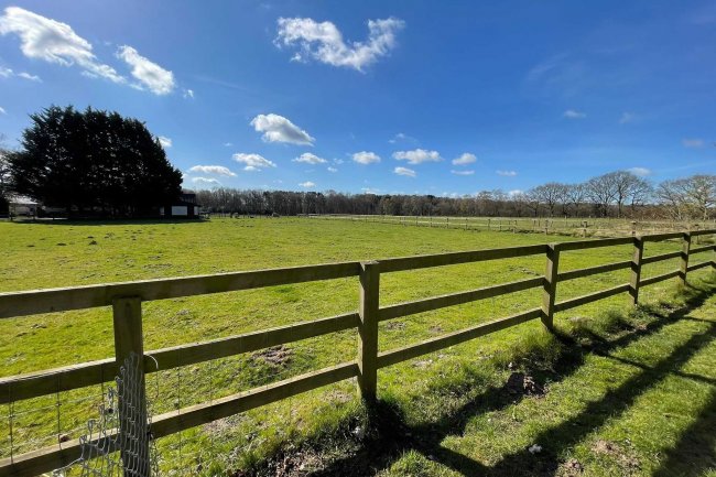 Brackenwood, Sandy Lane, Horsford, Norwich NR10 3FB 8