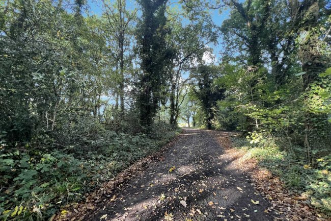 2 Blackhan Court Farm Cottages, East Sussex TN7 4DB
 5